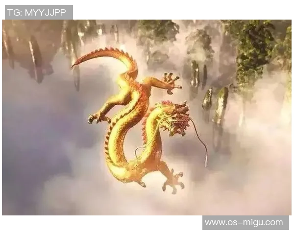 弗格的传奇人生与不屈精神探秘之旅