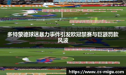 多特蒙德球迷暴力事件引发欧冠禁赛与巨额罚款风波